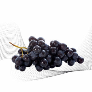 Black Grape