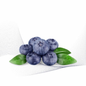 Blueberry