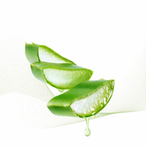 Kyoto Aloe Vera