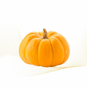 Pumpkin Spice