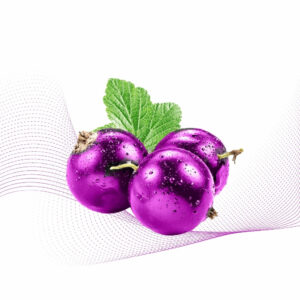 Ultra Violet Berry
